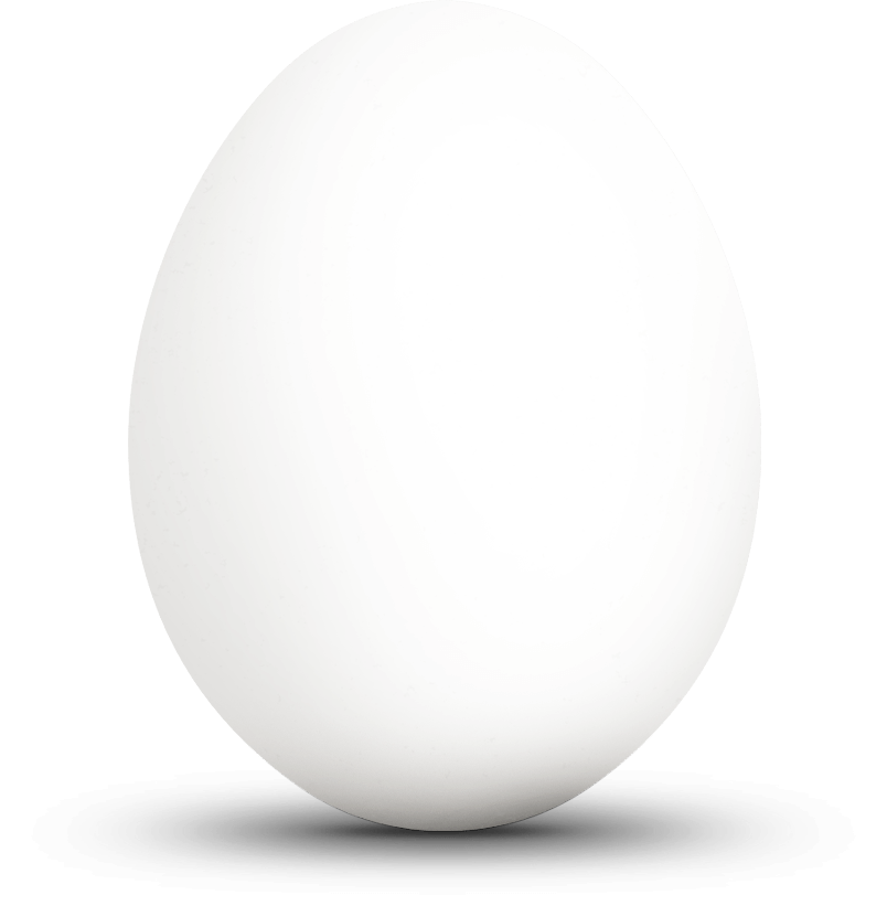 Egg Web Design